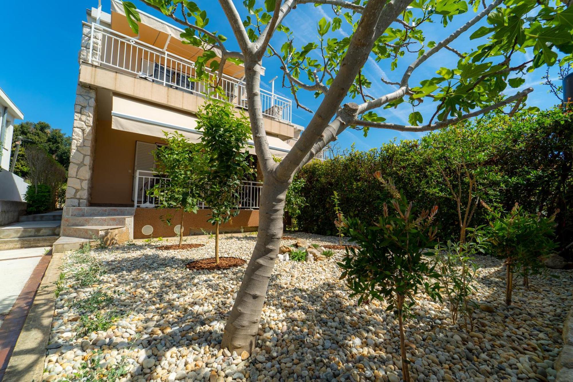 Apartments Ivos Sveti Petar  Dış mekan fotoğraf